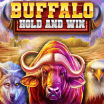 Buffalo Hold and Win Logo