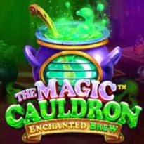 The Magic Cauldron - Enchanted Brew Logo