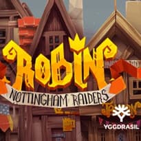 Robin Nottingham Raiders Logo