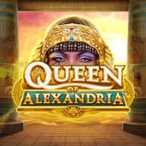 Queen of Alexandria WOWPOT! Logo