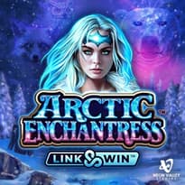 Arctic Enchantress Logo