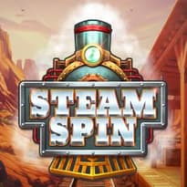 Steam Spin Logo