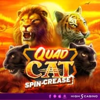Quad Cat Logo