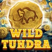Wild Tundra Logo